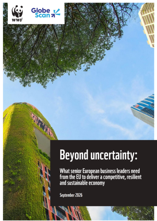 Omslagsbild till rapporten "Beyond Uncertainty: What senior European business leaders need from the EU to deliver a competitive, resilient and sustainable economy"