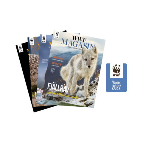 WWF_Van_paket_2027_medlem WWF Vän paket med WWF Magasin och Vändekal