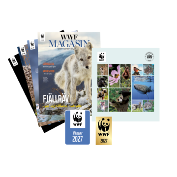 WWF Vän Märkesmedlem paket med WWF Magasin, Vändekal och Pin