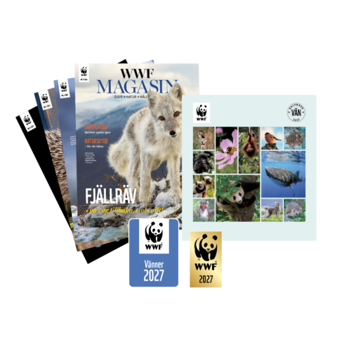 WWF_Van_Paketbild_2027_Markesmedlem WWF Vän Märkesmedlem paket med WWF Magasin, Vändekal och Pin