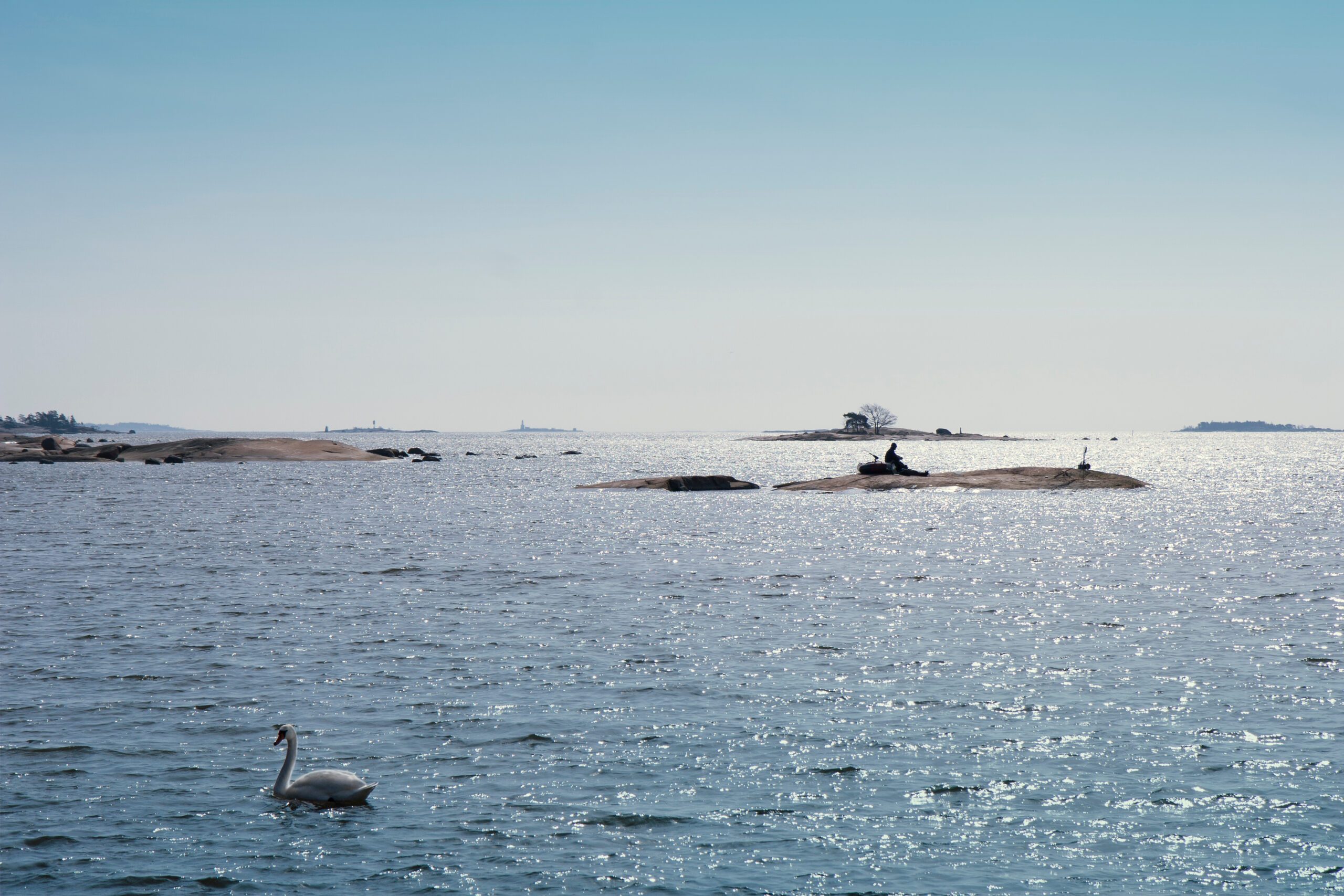 WWF uppmanar Sverige att motsätta sig kvoter som organisationen bedömer äventyrar återhämtningen. Kraven gäller bland annat strömming, sill, skarpsill, torsk, rödspätta och lax.