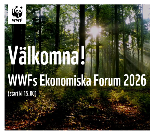 Presentation_WWFs Ekonomiska Forum 2026_mindre