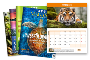 4 nummer av WWF magason och WWFs kalender 2027 