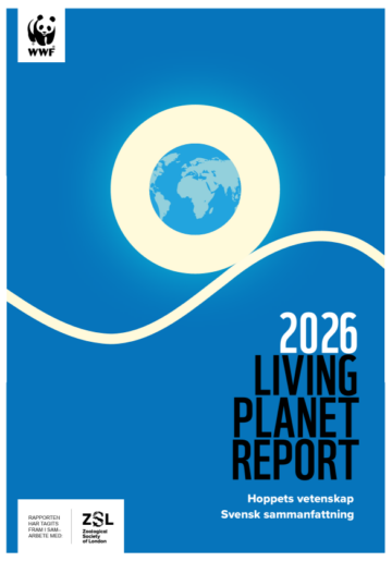 Omslagsbild till WWFs Living Planet Report 2026 med temat Hoppets vetenskap, svenska sammanfattningen. Bilden är en blå bakgrund med ett jordklot som verkar lysa och åka uppåt på en bergochdalbane-liknande kurva.